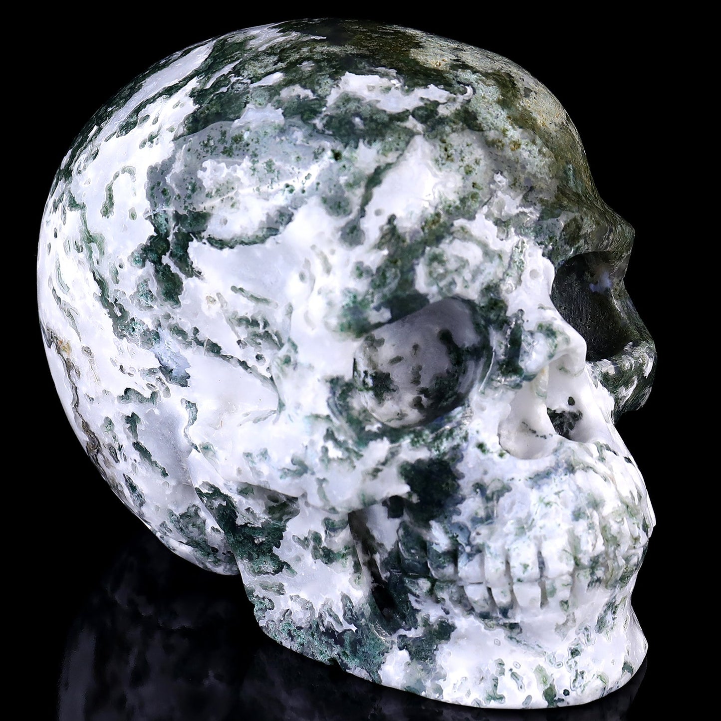 Nicedony 5.4" Moss Agate Hand Carved Realistic Skull Sculpture