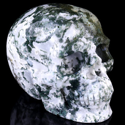 Nicedony 5.4" Moss Agate Hand Carved Realistic Skull Sculpture