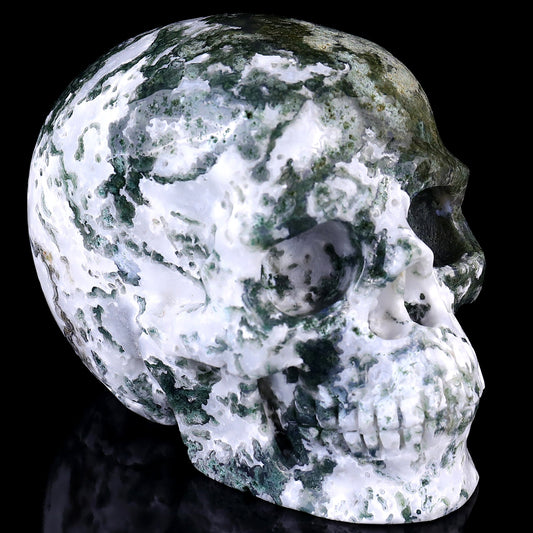 Nicedony 5.4" Moss Agate Hand Carved Realistic Skull Sculpture