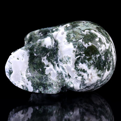 Nicedony 5.4" Moss Agate Hand Carved Realistic Skull Sculpture - View 6