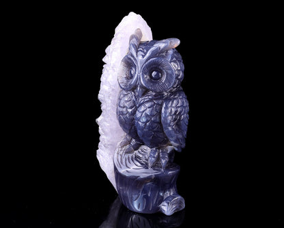 Nicedony 5.5" Quartz Rock Druse Hand Carved Crystal Owl Sculpture - View 9