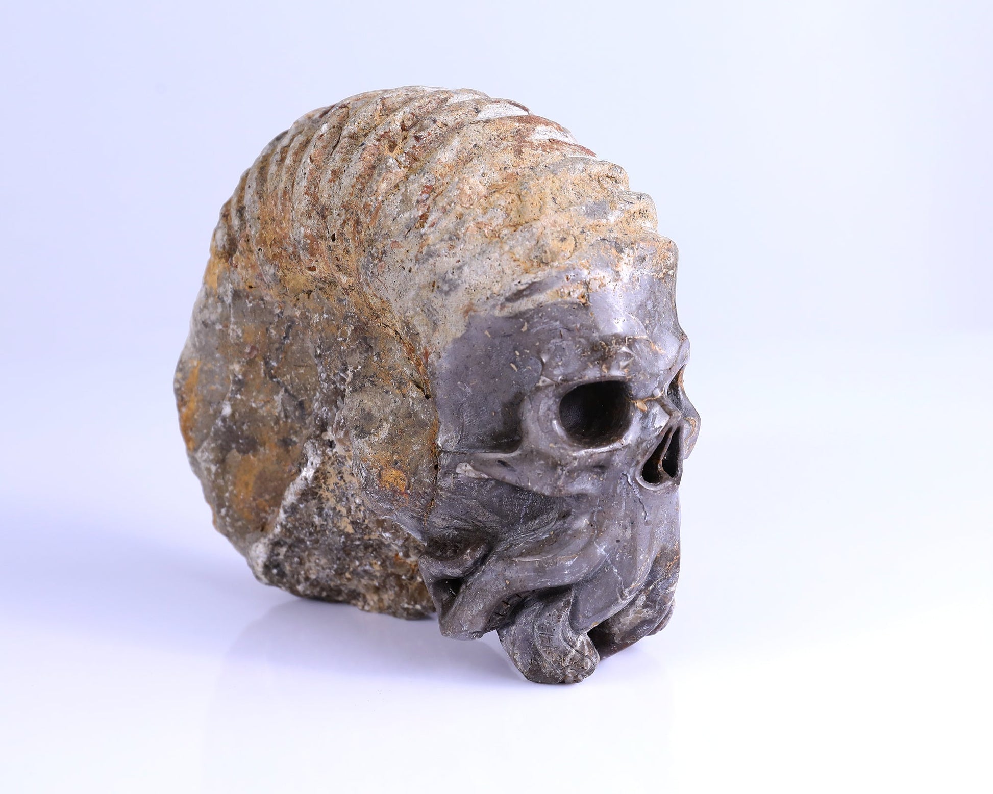 Nicedony 5.6" Foraminifera Fossil Hand Carved Octopus Skull Sculpture - View 2