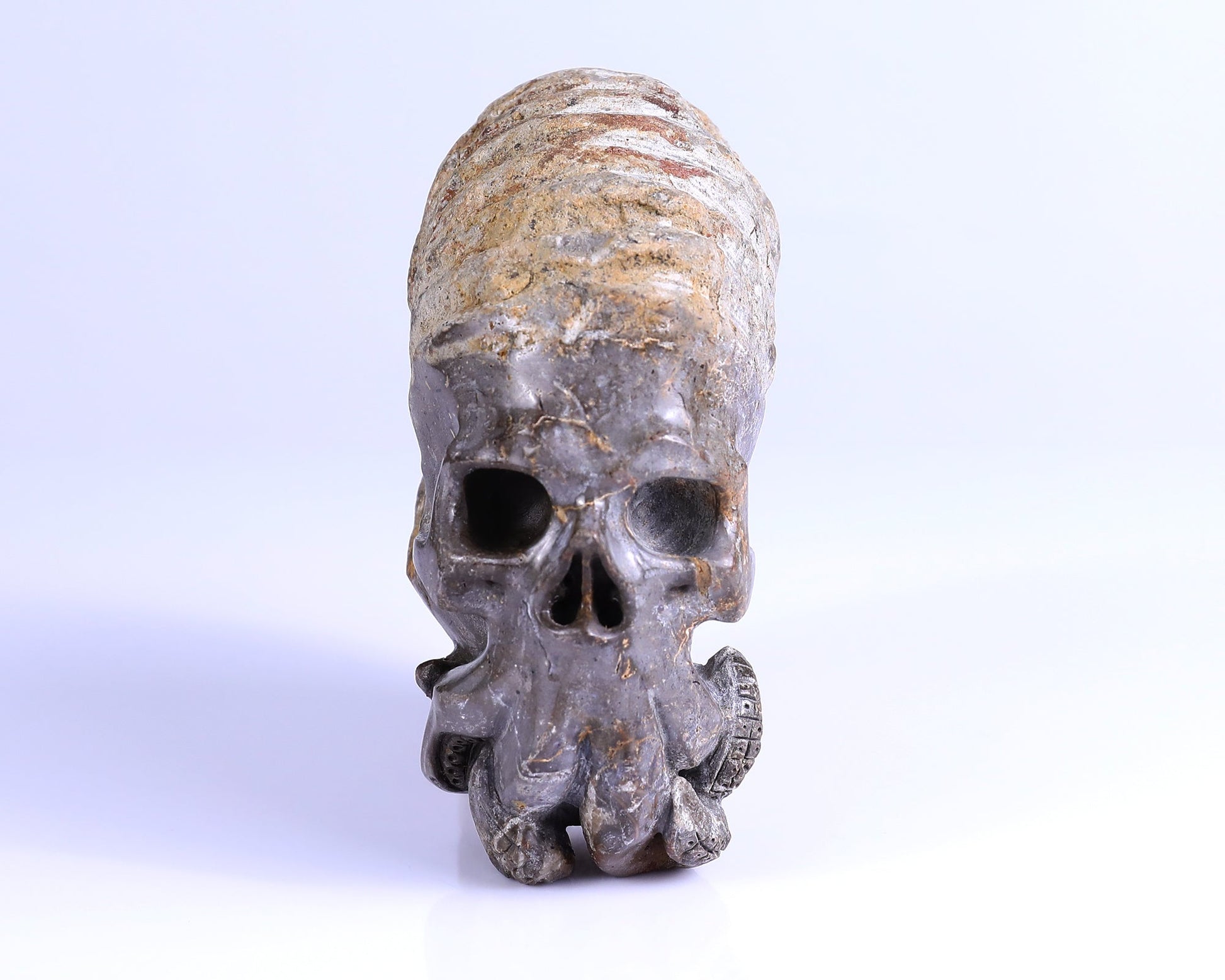 Nicedony 5.6" Foraminifera Fossil Hand Carved Octopus Skull Sculpture