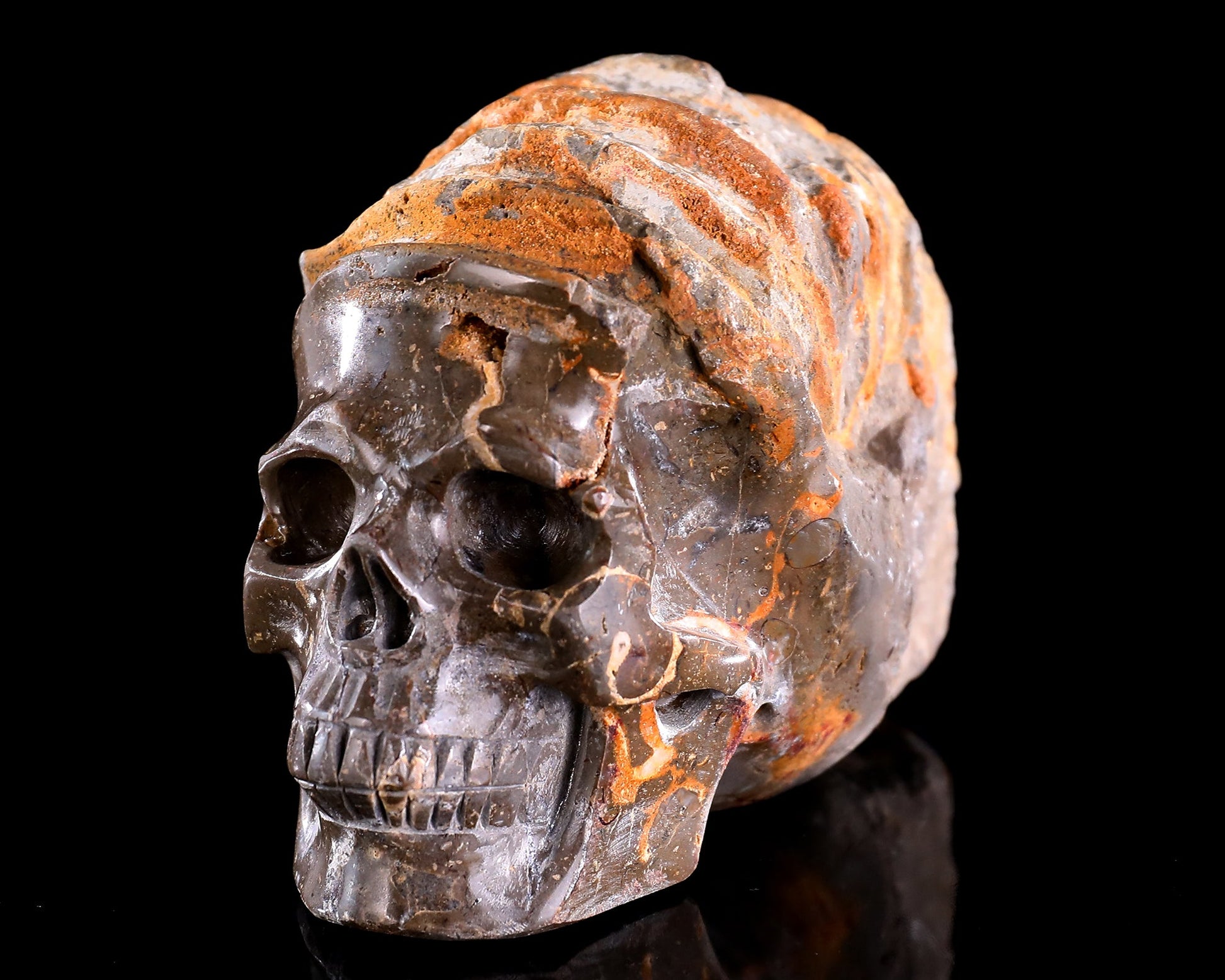 Nicedony 5.6" Foraminifera Fossil Hand Carved Crystal Skull Sculpture - View 2