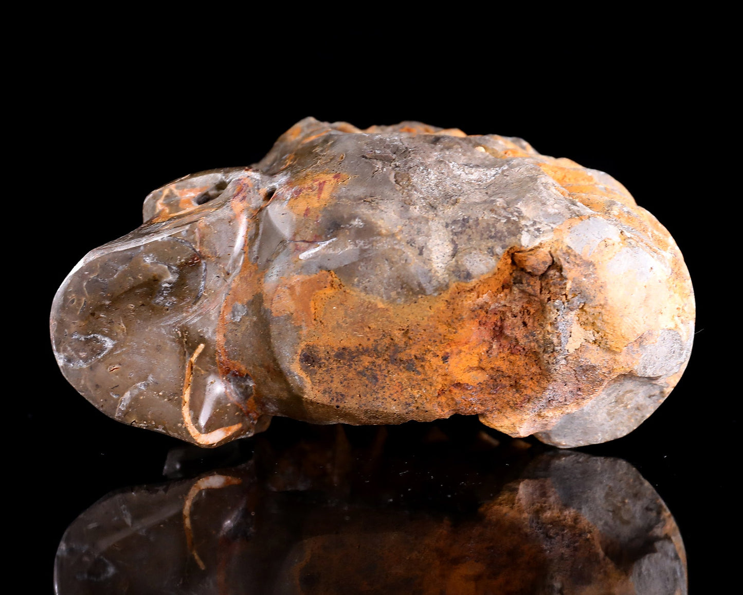 Nicedony 5.6" Foraminifera Fossil Hand Carved Crystal Skull Sculpture - View 10