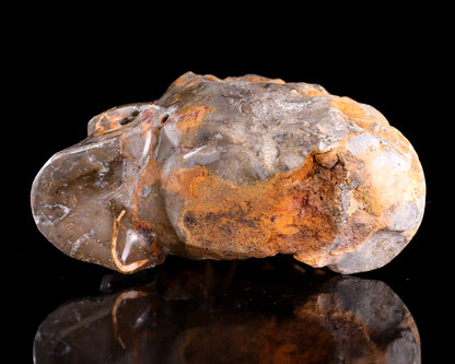 Nicedony 5.6" Foraminifera Fossil Hand Carved Crystal Skull Sculpture - View 10