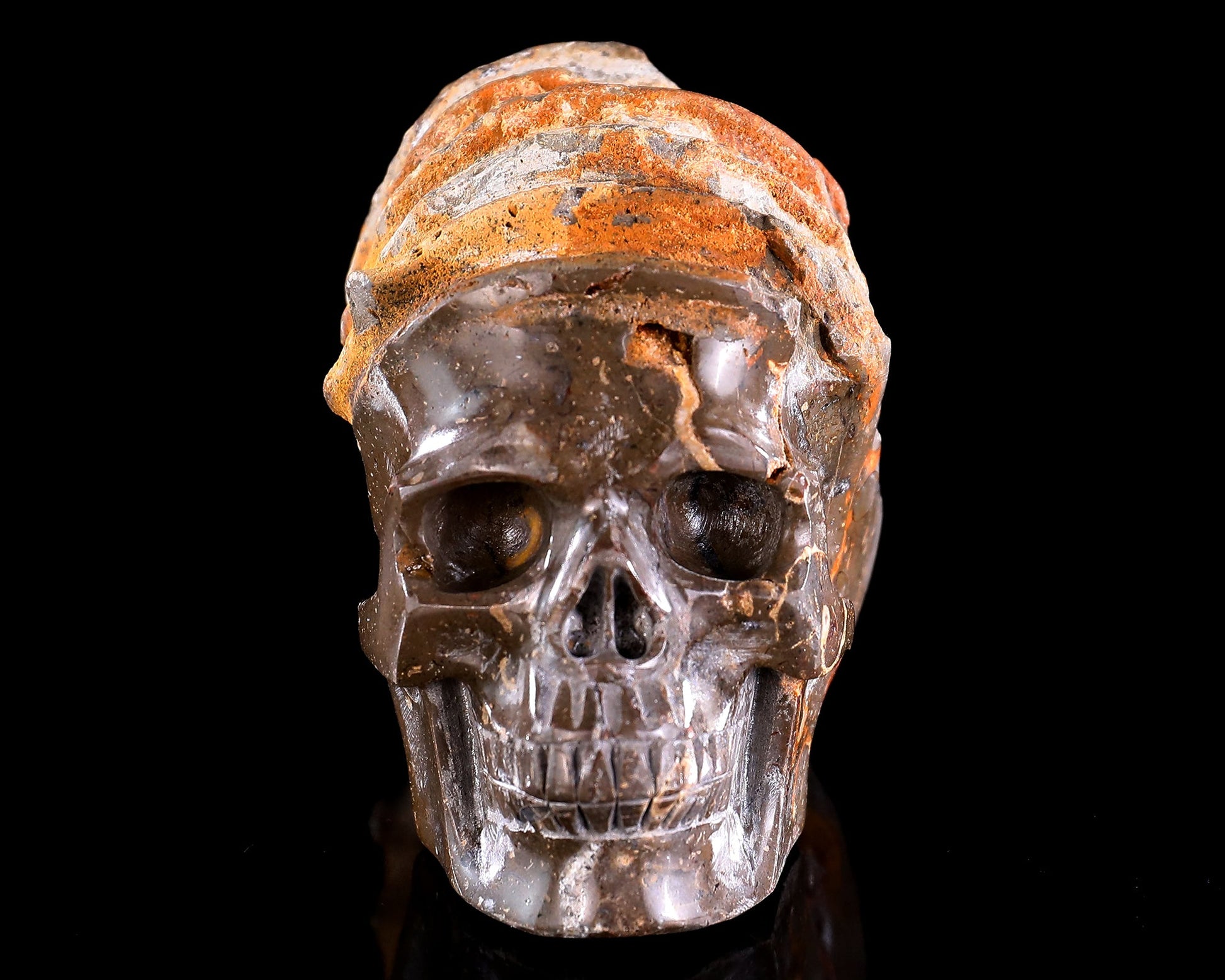 Nicedony 5.6" Foraminifera Fossil Hand Carved Crystal Skull Sculpture - View 3
