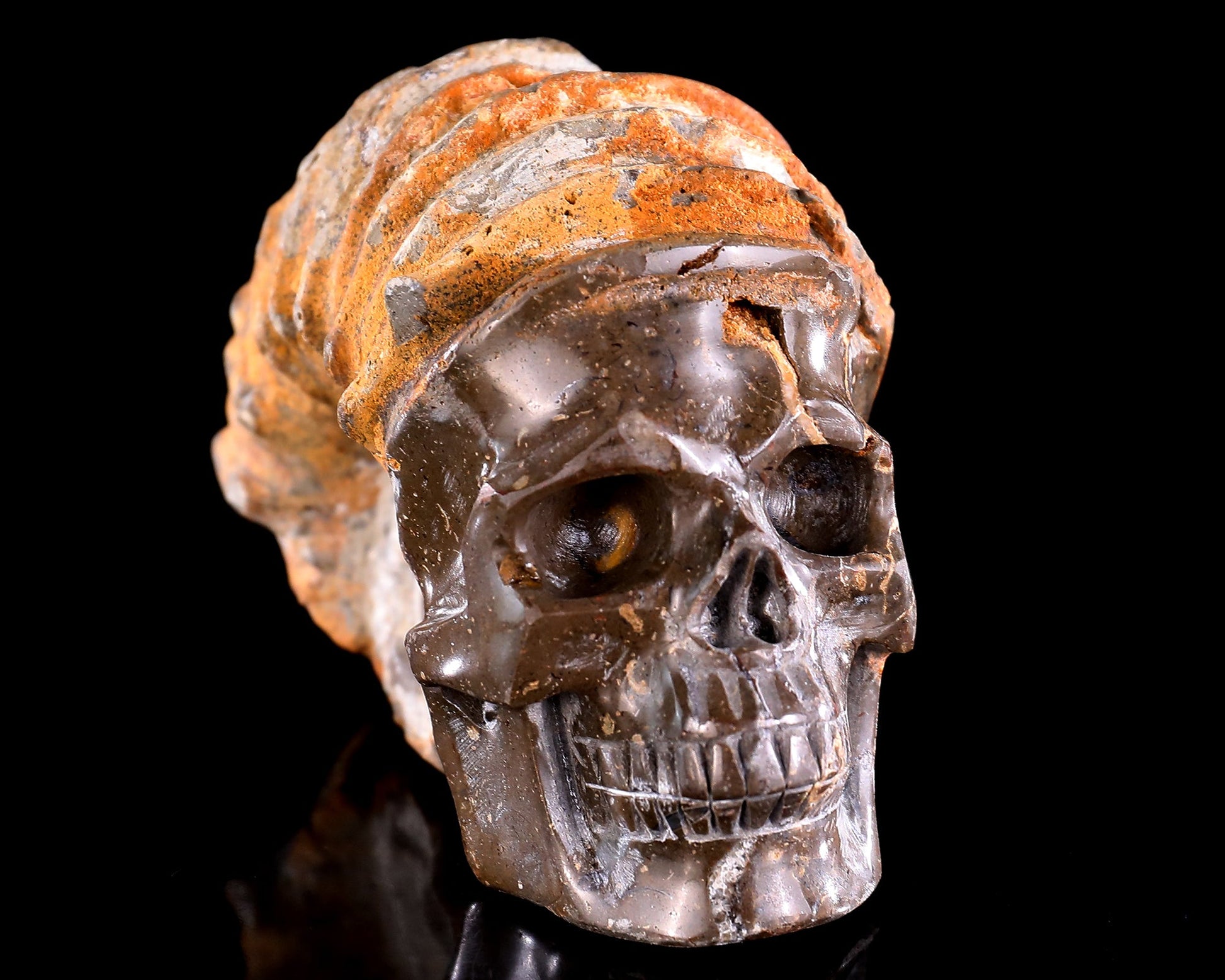 Nicedony 5.6" Foraminifera Fossil Hand Carved Crystal Skull Sculpture - View 4
