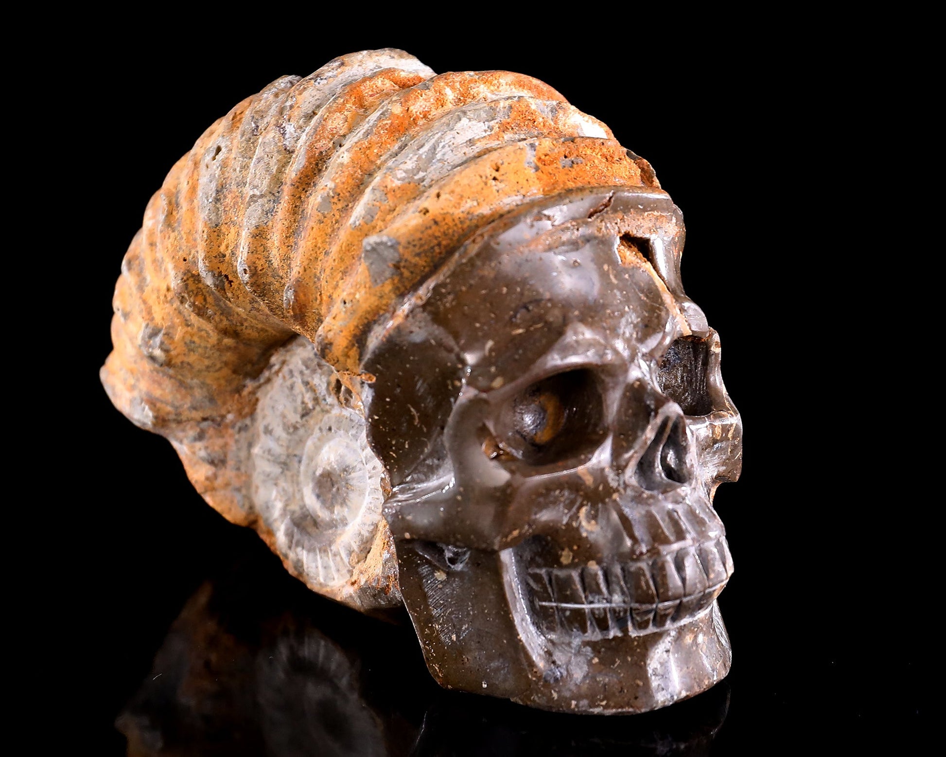 Nicedony 5.6" Foraminifera Fossil Hand Carved Crystal Skull Sculpture
