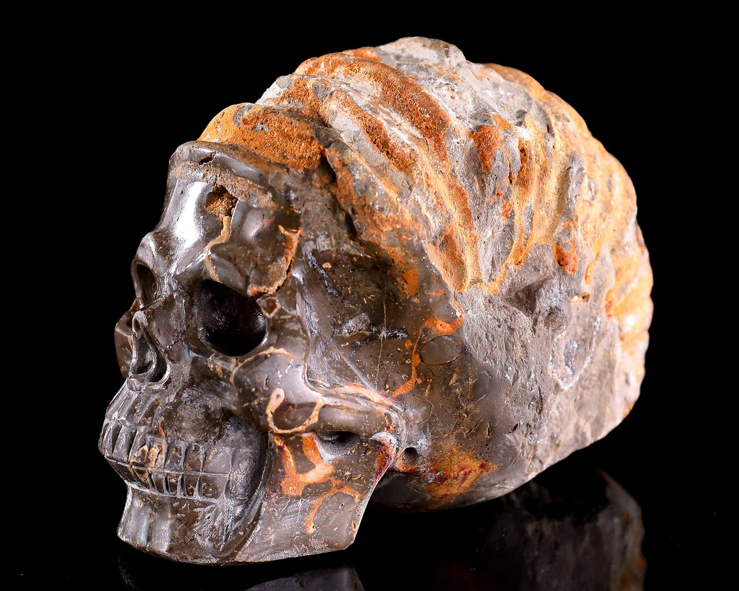 Nicedony 5.6" Foraminifera Fossil Hand Carved Crystal Skull Sculpture - View 8