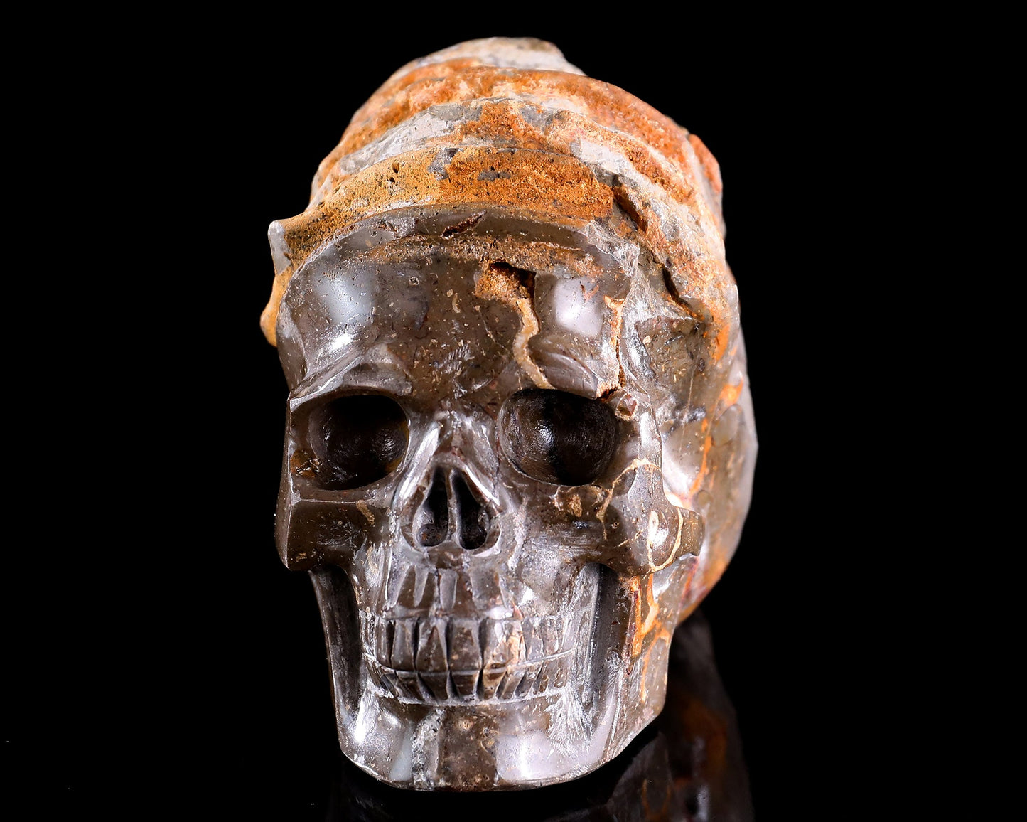 Nicedony 5.6" Foraminifera Fossil Hand Carved Crystal Skull Sculpture - View 9