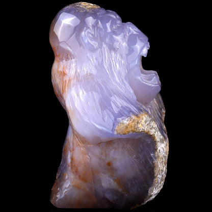 Nicedony 5.7" Blue Chalcedony Hand Carved Gorilla Head Sculpture - View 3
