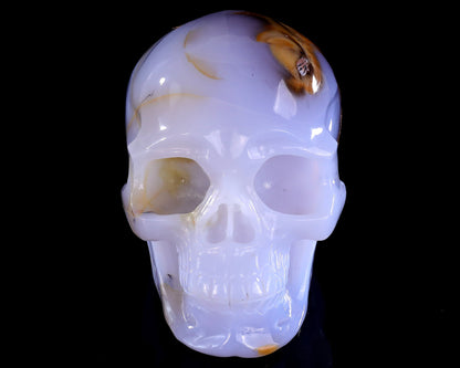 Nicedony 5.7" Blue Chalcedony Hand Carved Realistic Skull Sculpture - View 2