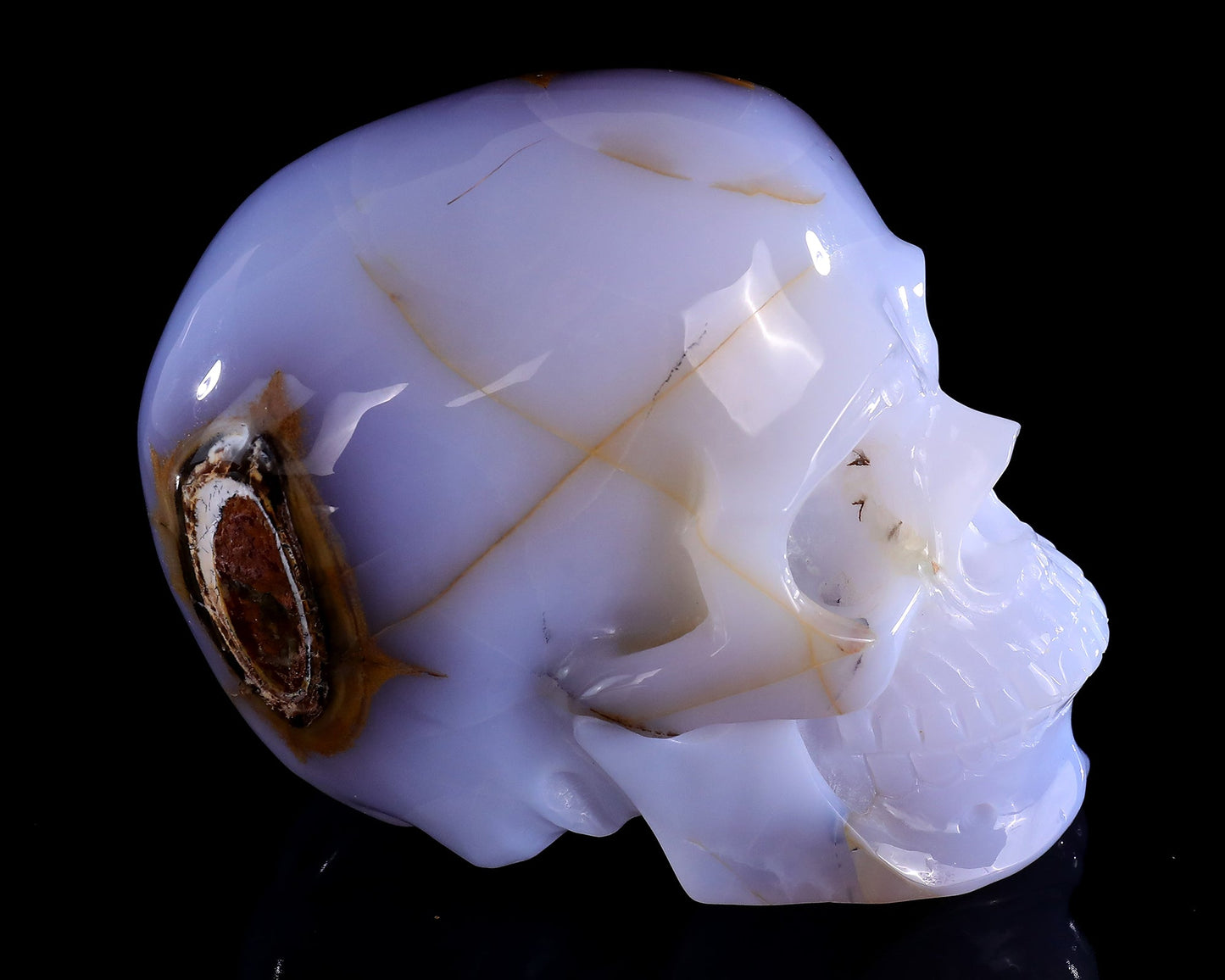 Nicedony 5.7" Blue Chalcedony Hand Carved Realistic Skull Sculpture - View 5