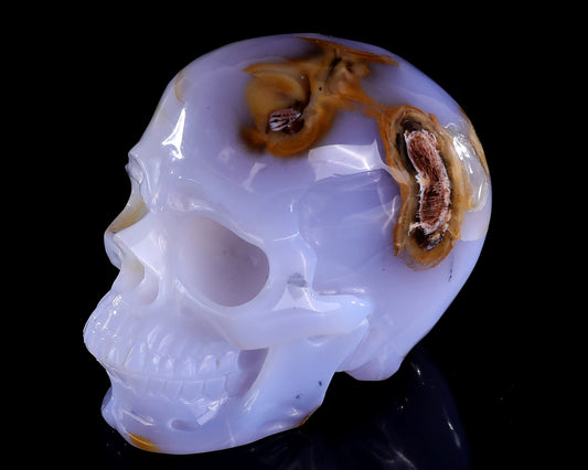 Nicedony 5.7" Blue Chalcedony Hand Carved Realistic Skull Sculpture (SKU: 3100645) - Photo 7