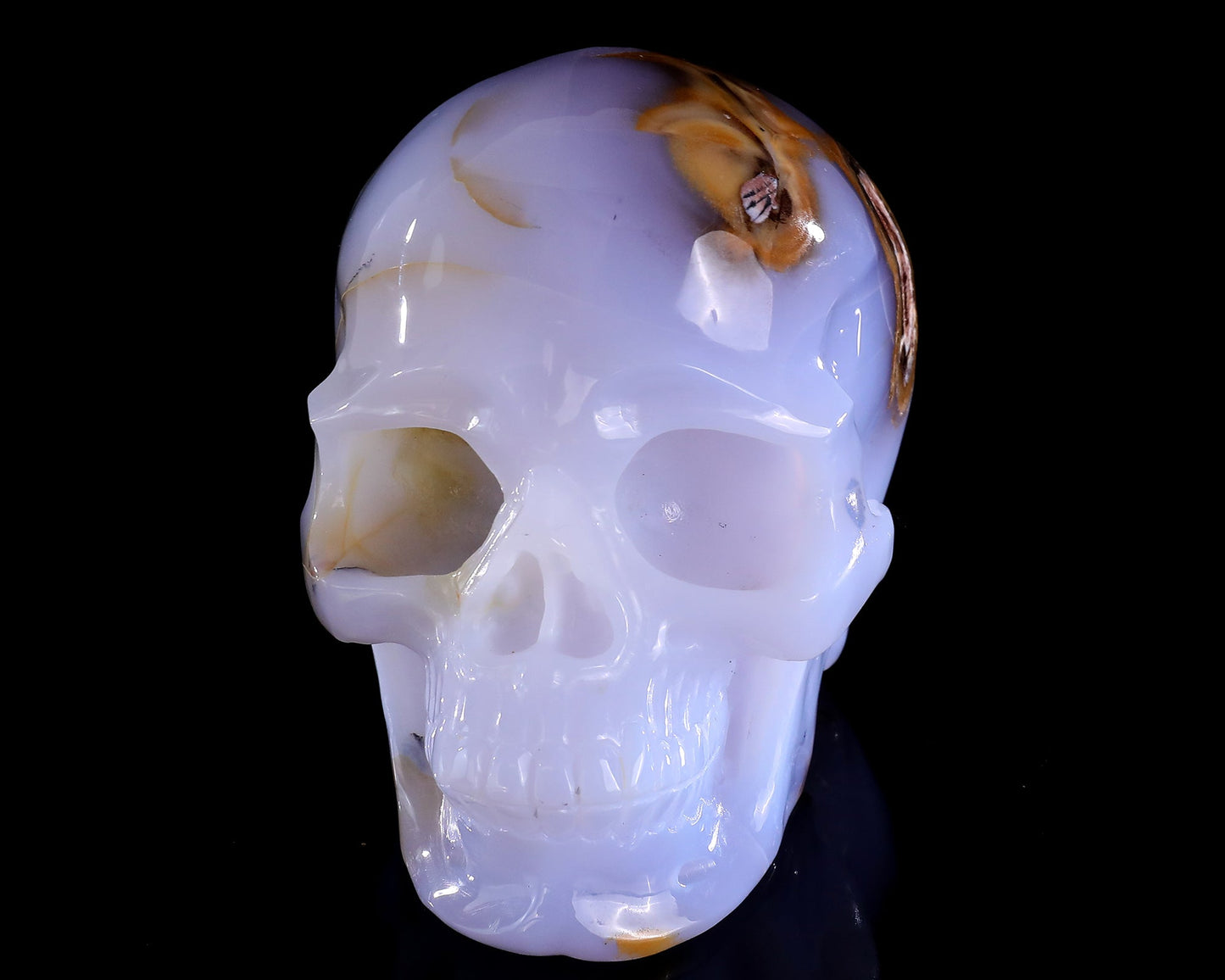 Nicedony 5.7" Blue Chalcedony Hand Carved Realistic Skull Sculpture - View 8