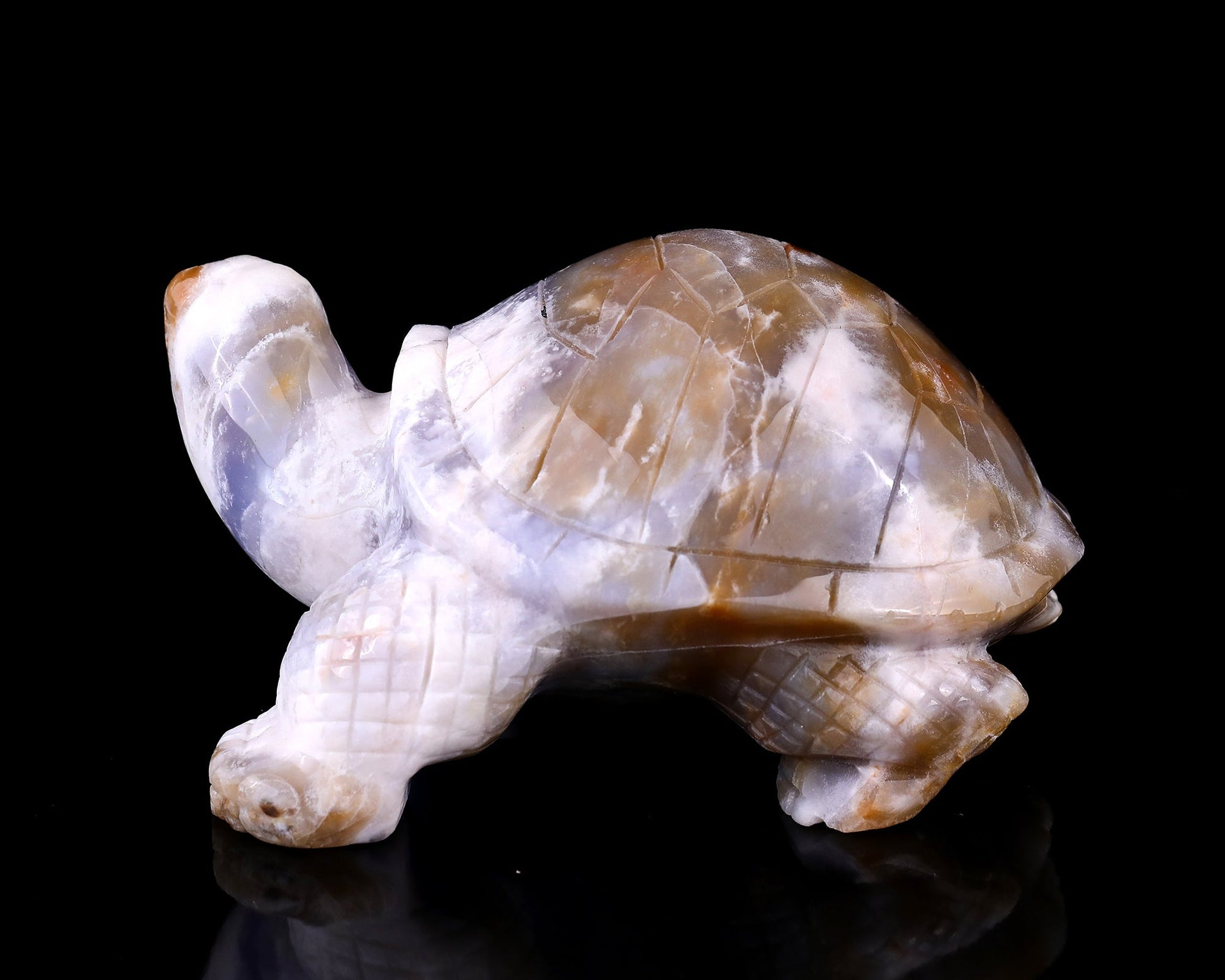 Nicedony 5.7" Blue Chalcedony Hand Carved Crystal Turtle Sculpture - View 4