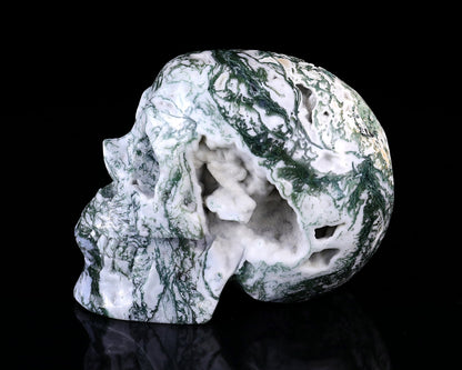 Nicedony 5.7" Moss Agate Hand Carved Realistic Skull Sculpture