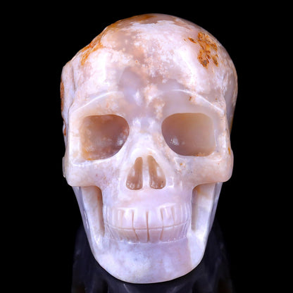 Nicedony 5.7" Sakura Agate Hand Carved Realistic Skull Sculpture - View 3