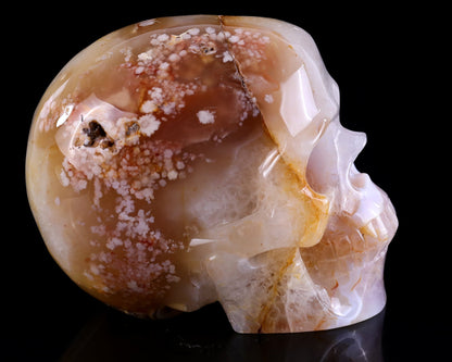 Nicedony 5.7" Sakura Agate Hand Carved Realistic Skull Sculpture - View 10