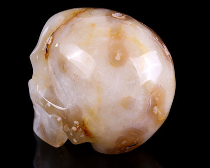 Nicedony 5.7" Sakura Agate Hand Carved Realistic Skull Sculpture - View 13
