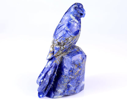 Nicedony 5.9" Sodalite Hand Carved Crystal Parrot Sculpture