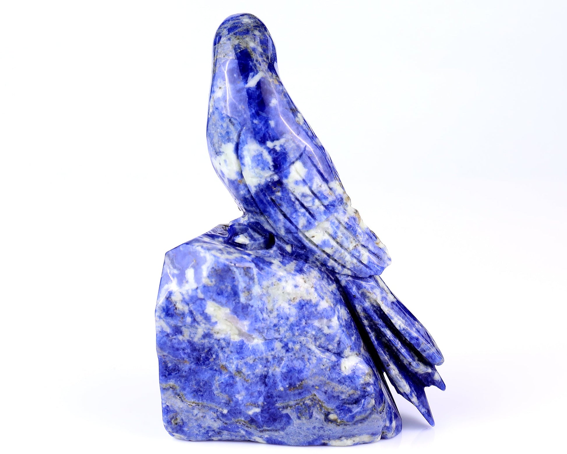 Nicedony 5.9" Sodalite Hand Carved Crystal Parrot Sculpture - View 5