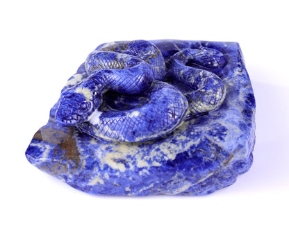 Nicedony 5.9" Sodalite Hand Carved Crystal Snake Sculpture - View 10