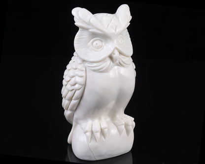 Nicedony 5.9" White Jade  Hand Carved Crystal Owl Sculpture