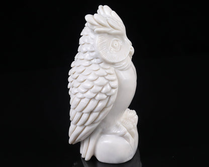 Nicedony 5.9" White Jade  Hand Carved Crystal Owl Sculpture - View 4