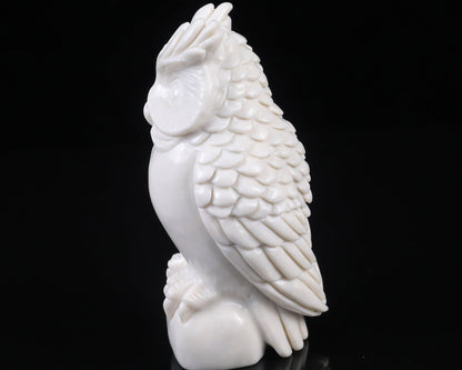 Nicedony 5.9" White Jade  Hand Carved Crystal Owl Sculpture - View 3