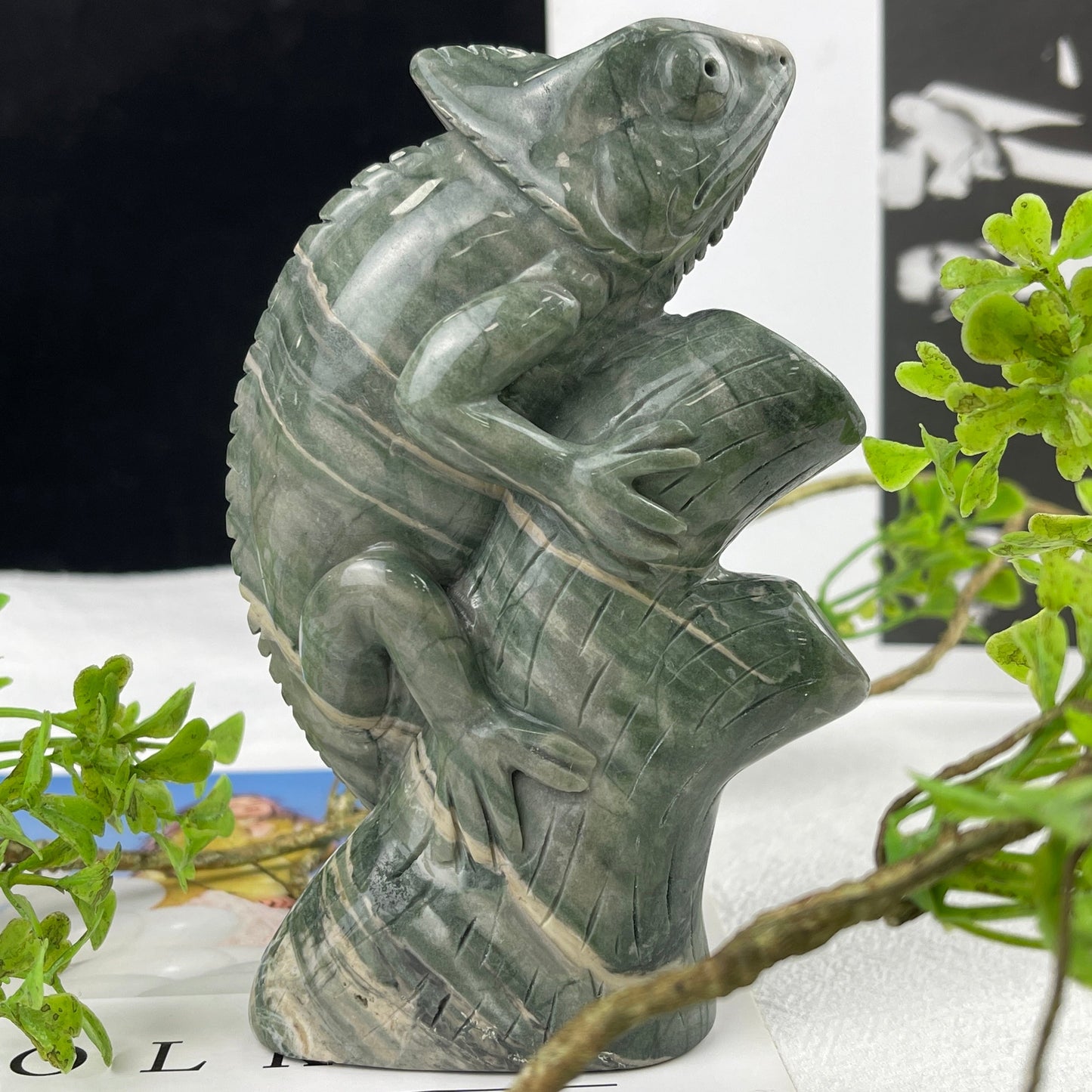 Nicedony 5‘’ Jiulong Jade Hand Carved Lizard Statue Decoration - View 20