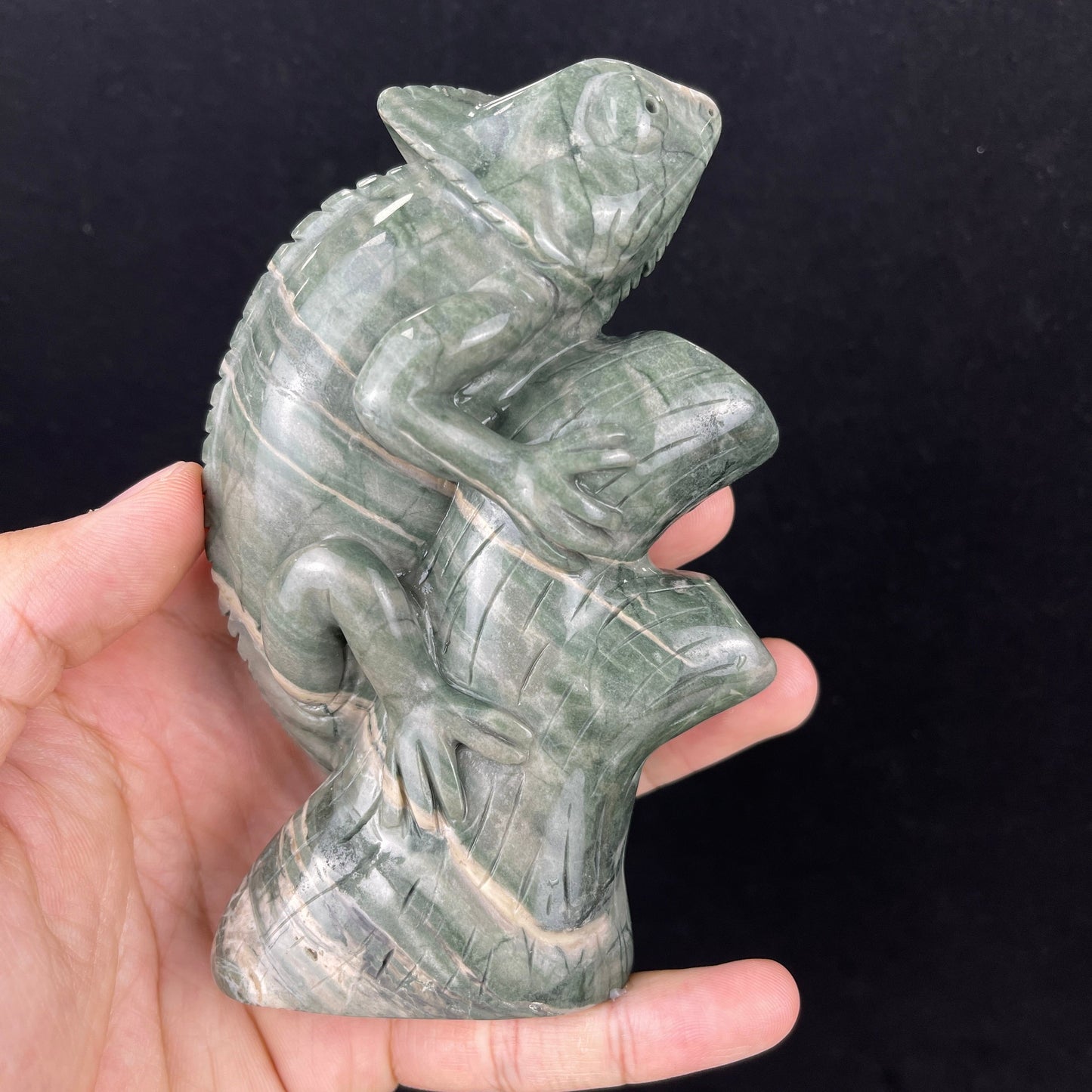 Nicedony 5‘’ Jiulong Jade Hand Carved Lizard Statue Decoration - View 13