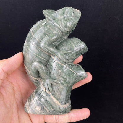 Nicedony 5‘’ Jiulong Jade Hand Carved Lizard Statue Decoration - View 13