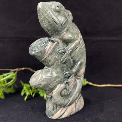 Nicedony 5‘’ Jiulong Jade Hand Carved Lizard Statue Decoration - View 2