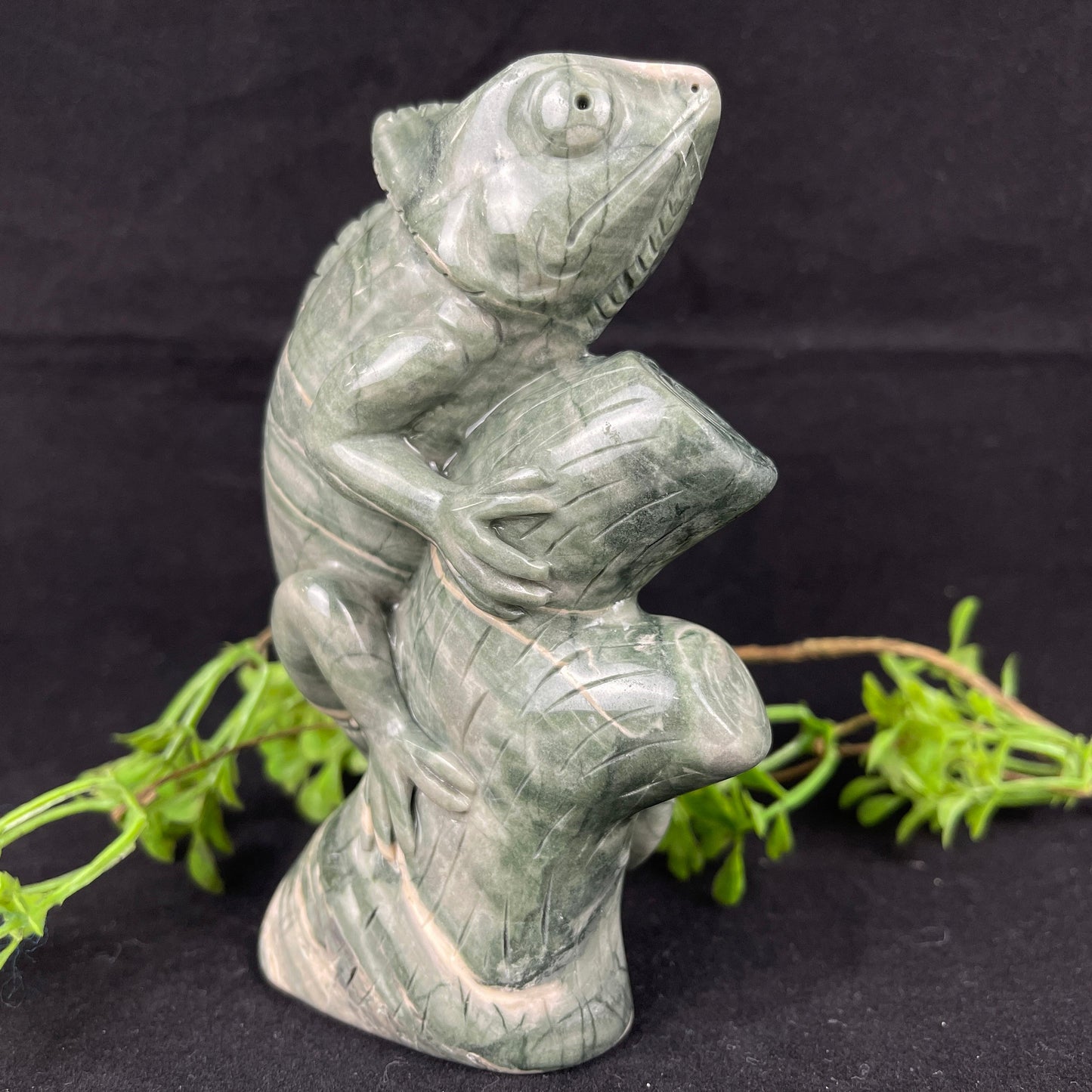 Nicedony 5‘’ Jiulong Jade Hand Carved Lizard Statue Decoration - View 3