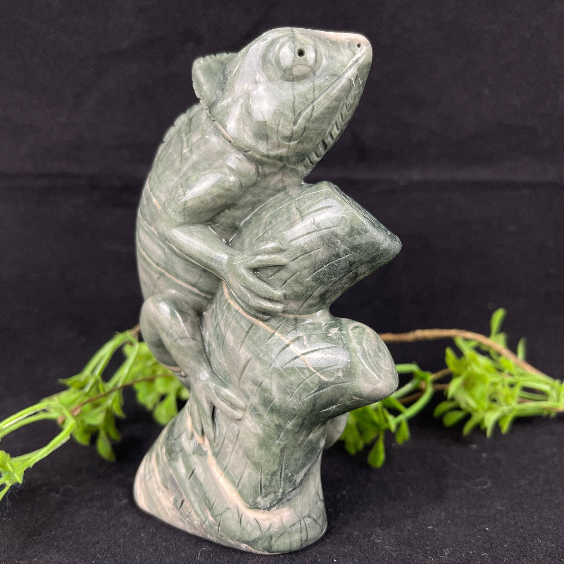 Nicedony 5‘’ Jiulong Jade Hand Carved Lizard Statue Decoration - View 3
