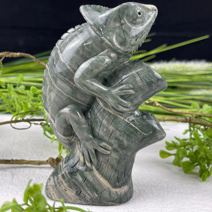 Nicedony 5‘’ Jiulong Jade Hand Carved Lizard Statue Decoration - View 10