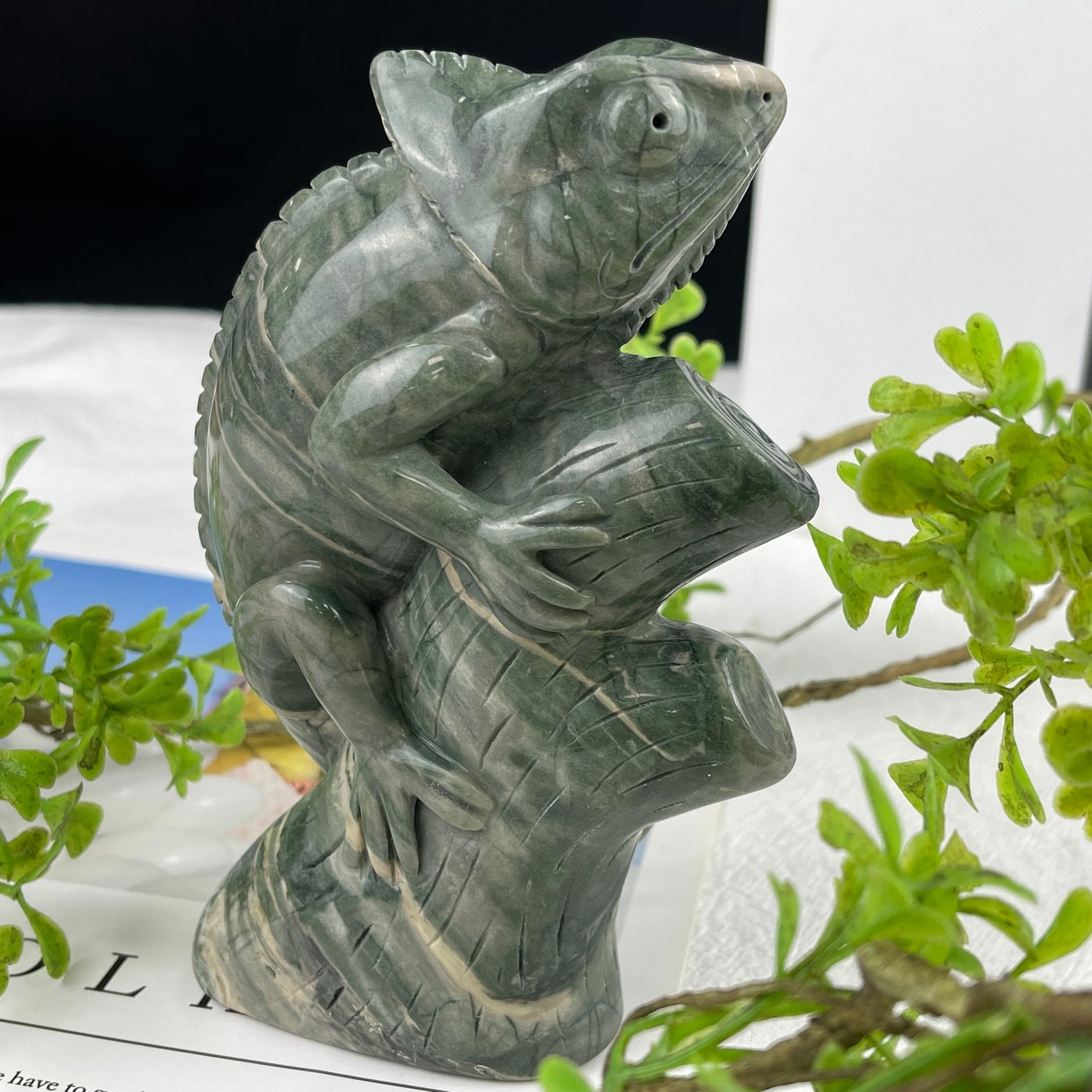 Nicedony 5‘’ Jiulong Jade Hand Carved Lizard Statue Decoration - View 19