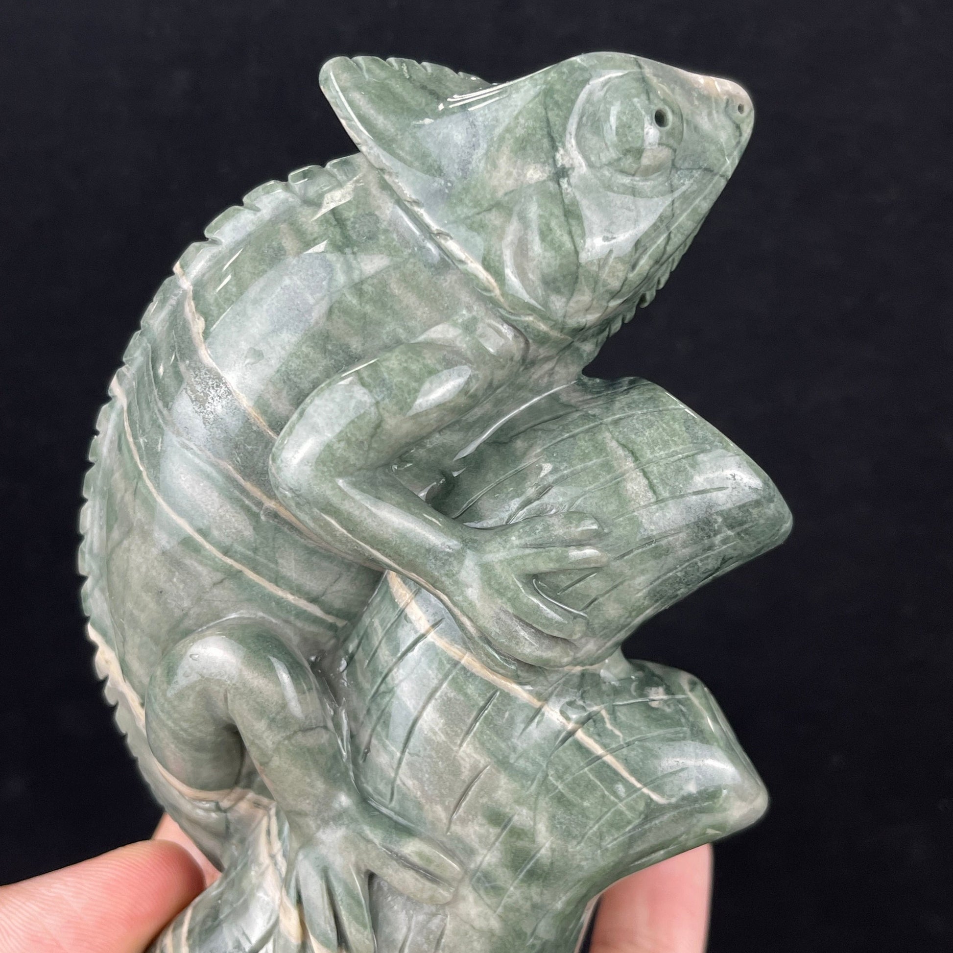 Nicedony 5‘’ Jiulong Jade Hand Carved Lizard Statue Decoration - View 14