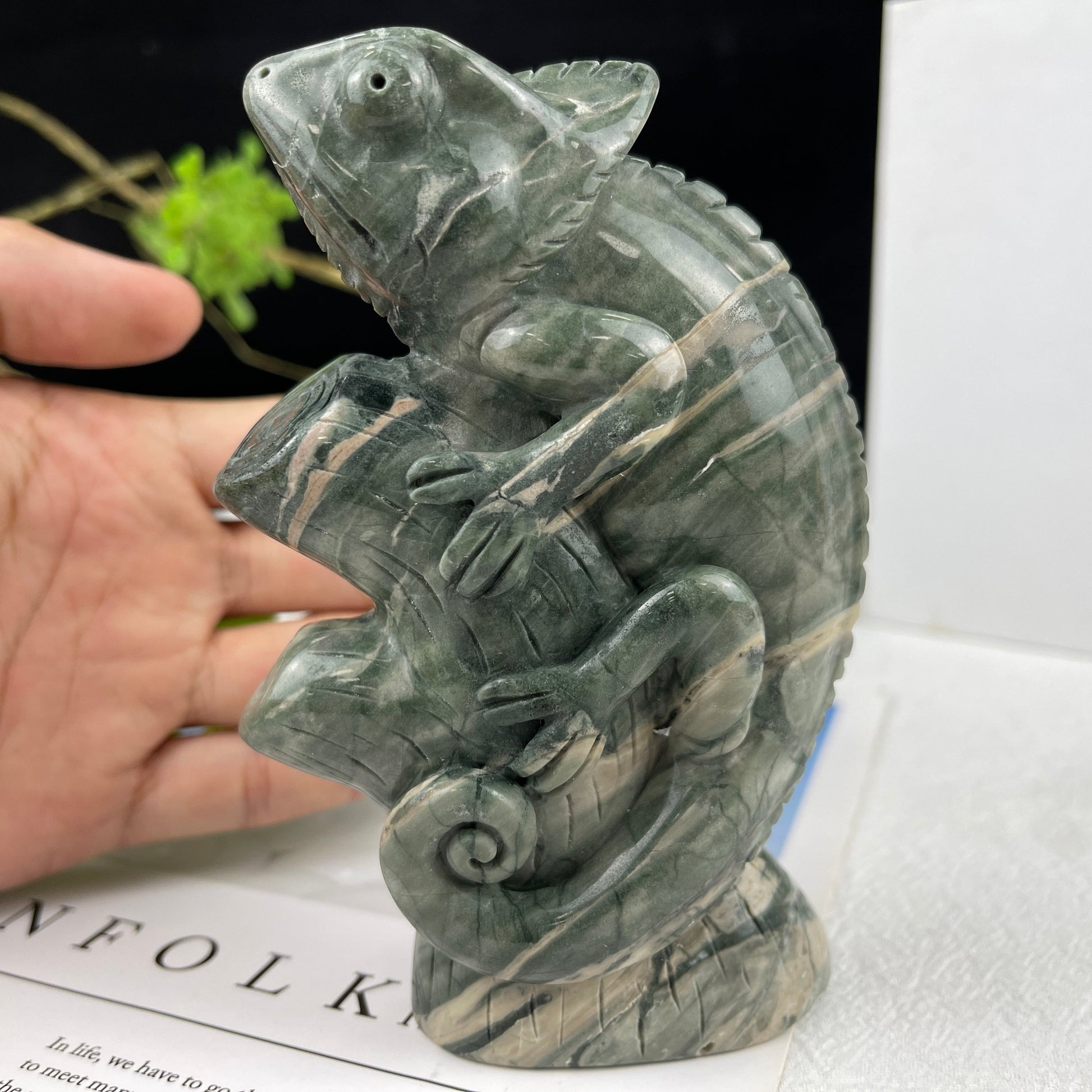 Nicedony 5‘’ Jiulong Jade Hand Carved Lizard Statue Decoration - View 26