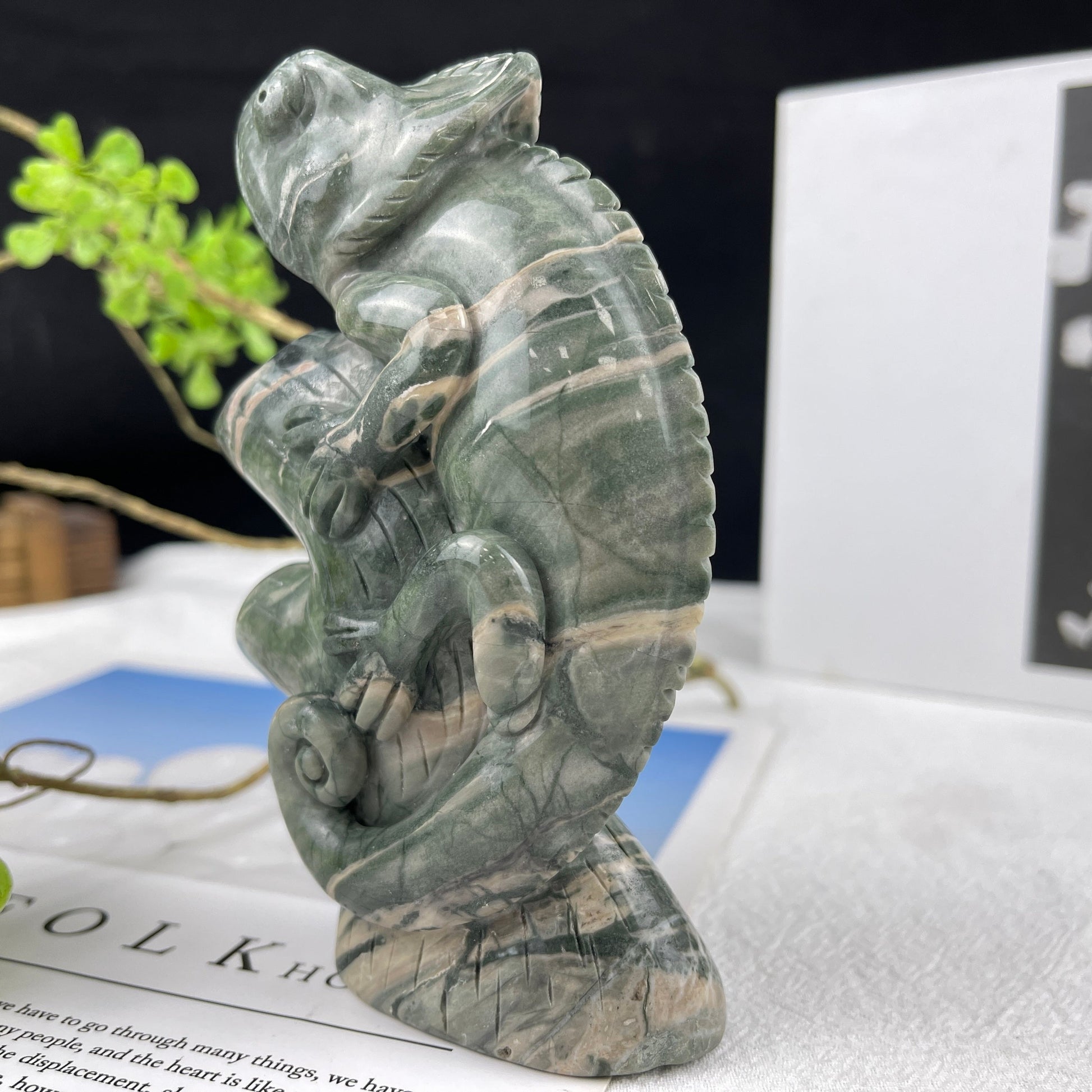 Nicedony 5‘’ Jiulong Jade Hand Carved Lizard Statue Decoration - View 27