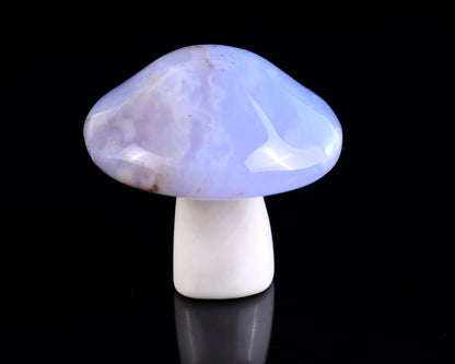 Nicedony 56mm Blue Chalcedony Hand Carved Crystal Mushroom Sculpture - View 5