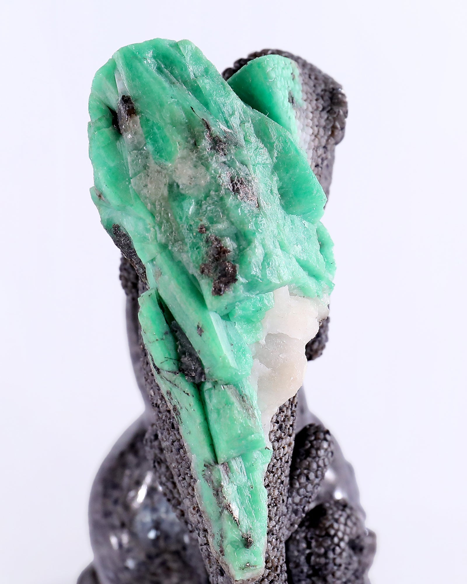 Nicedony 6.0" Emerald Hand Carved Crystal Lizard and Skull Sculpture - View 4