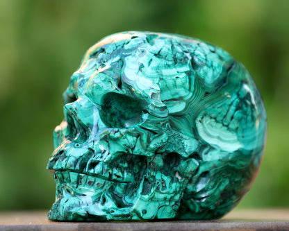 Nicedony 6.0" Malachite Hand Carved Crystal Realistic Skull Sculpture
