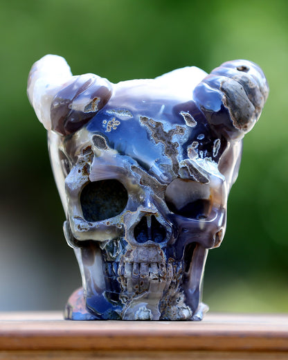 Nicedony 6.0" Quartz Rock Druse Hand Carved Geode Skull with Horn - View 3