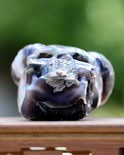 Nicedony 6.0" Quartz Rock Druse Hand Carved Geode Skull with Horn - View 10