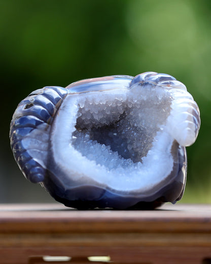 Nicedony 6.0" Quartz Rock Druse Hand Carved Geode Skull with Horn - View 11