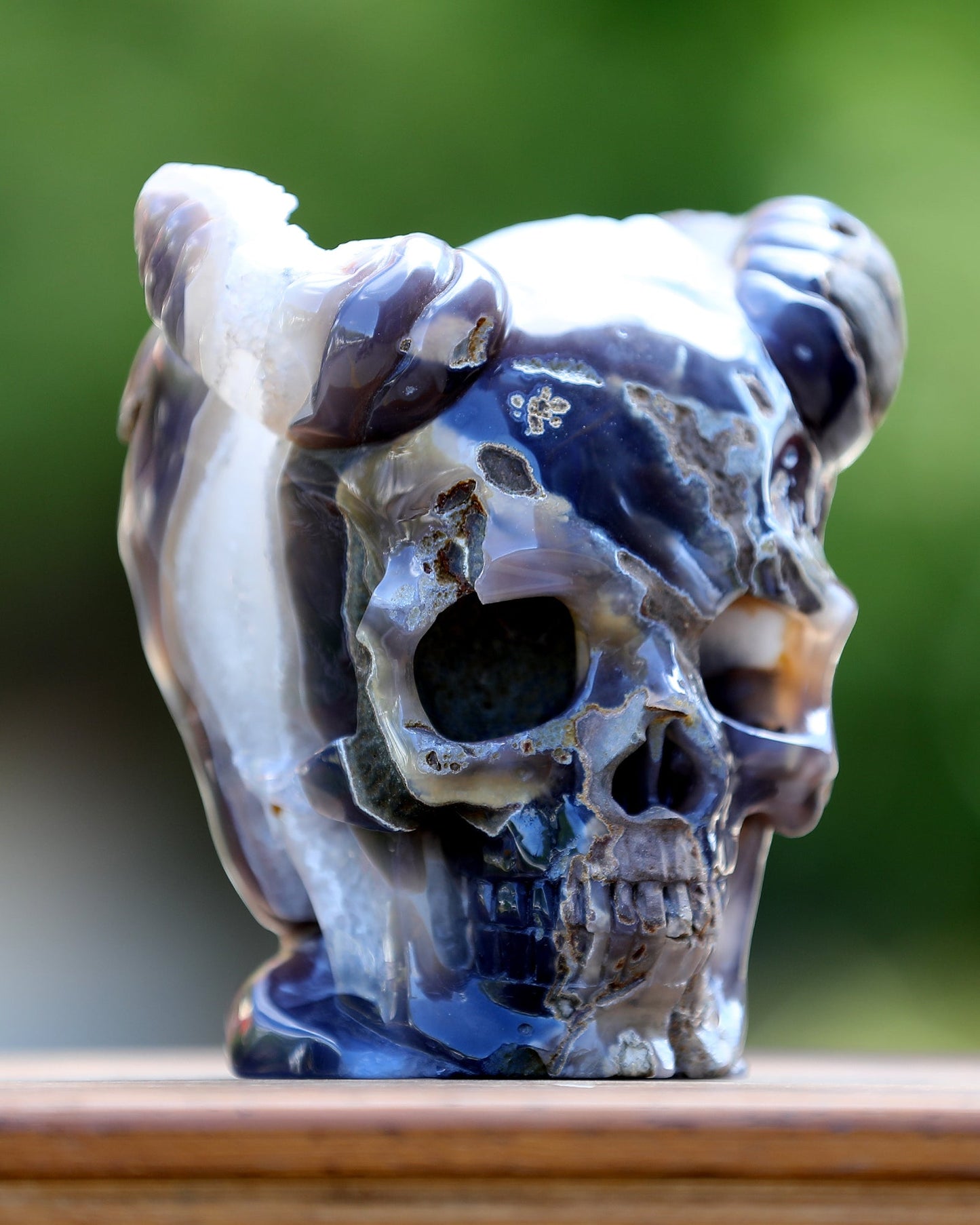 Nicedony 6.0" Quartz Rock Druse Hand Carved Geode Skull with Horn - View 2
