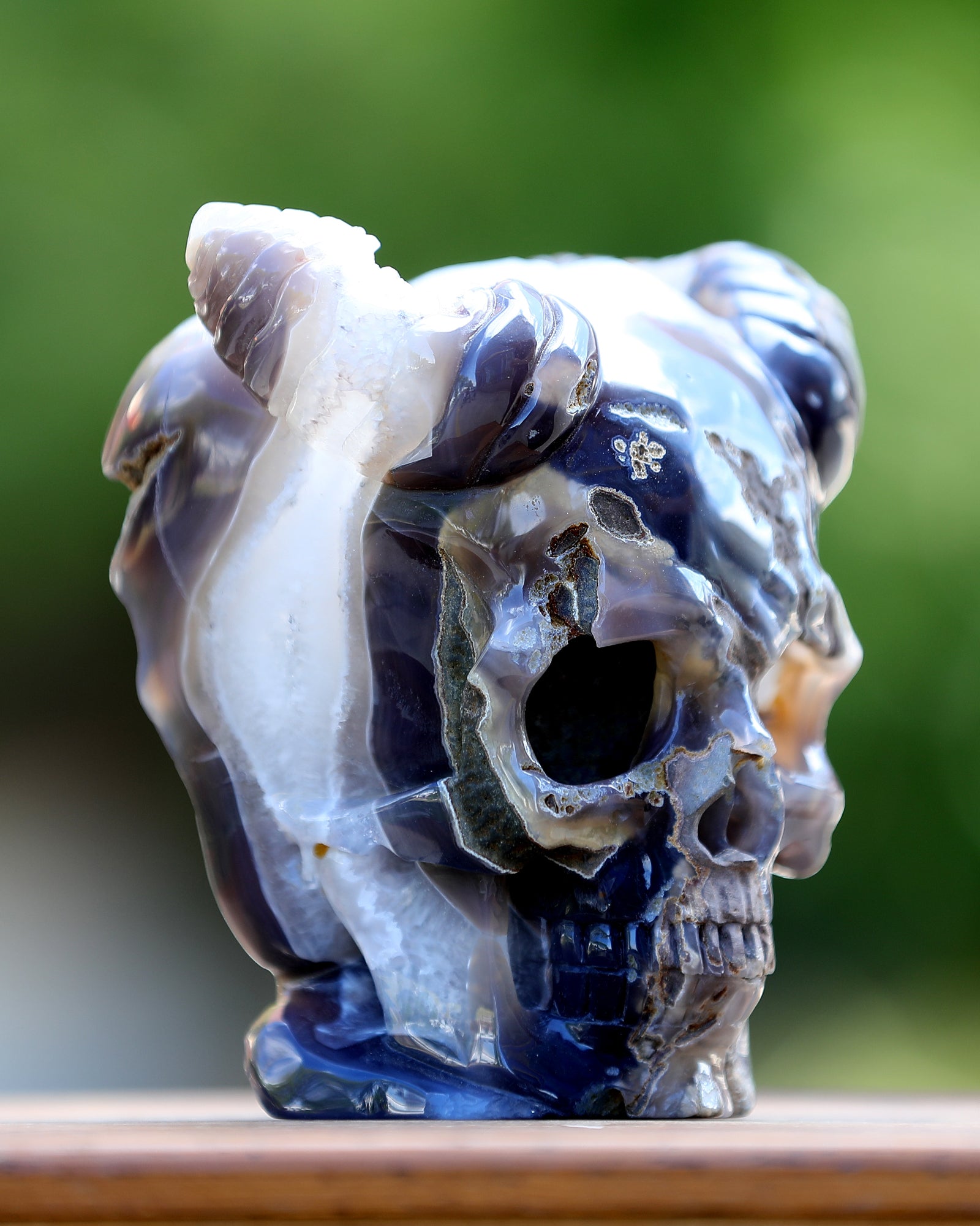 Nicedony 6.0" Quartz Rock Druse Hand Carved Geode Skull with Horn - View 5